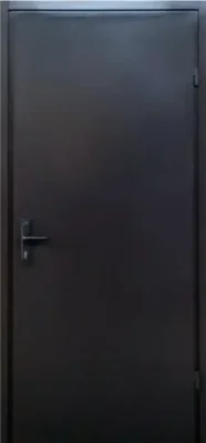 Вхідні двері Портала Метал/Метал ТЕХНІЧНА метал/метал вулиця RAL 8019 та RAL7024